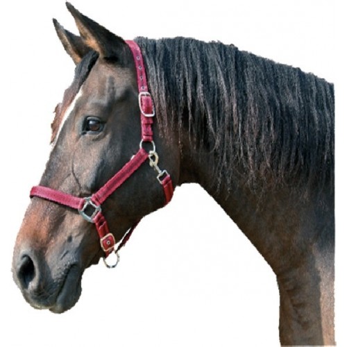 Cabezada nylon MUSTANG KERBL para caballos doble ajuste