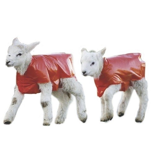 Chubasquero impermeable para corderos