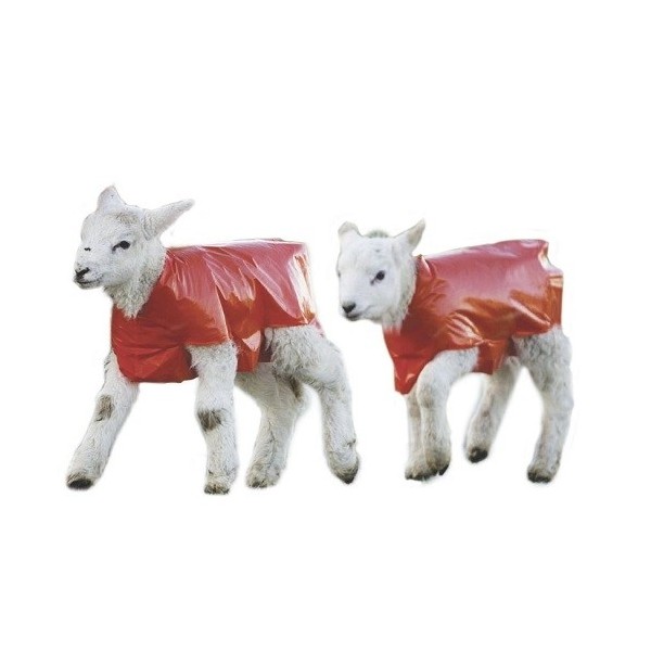 Chubasquero impermeable para corderos