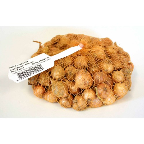 Semilla de cebolla de mesa STUTGARTER RIESEN amarilla para plantar 500 g ¡¡¡ ULTIMAS UNIDADES !!!