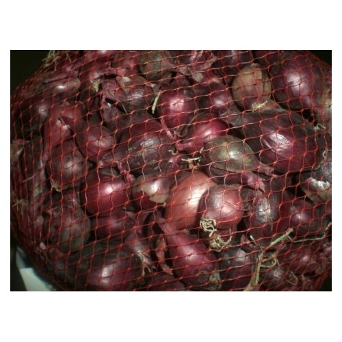 Semilla de cebolla roja RED BARON 250G ¡¡¡ ULTIMAS UNIDADES !!!