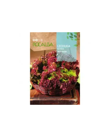 Semilla lechuga LOLLO ROSSA
