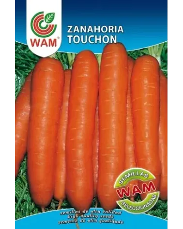 Semilla zanahoria touchon
