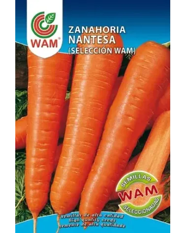 Semilla zanahoria NANTESA 3