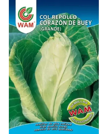 Semilla repollo corazón de buey