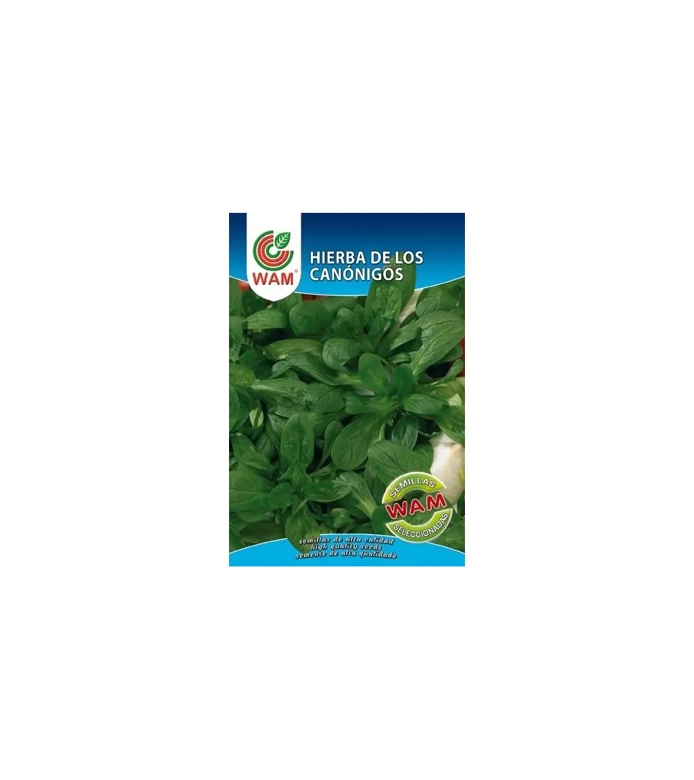 Semilla de hierba de  canonigos