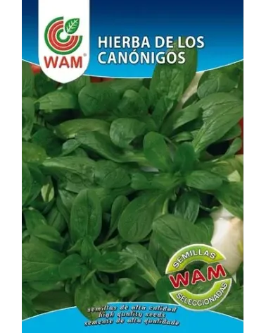 Semilla de hierba de  canonigos