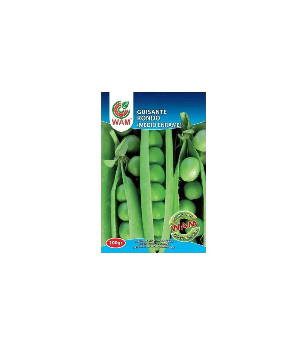 Semilla guisante Rondo medio enrame 100 g
