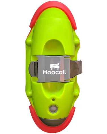 Avisador de partos para vacas MOOCALL