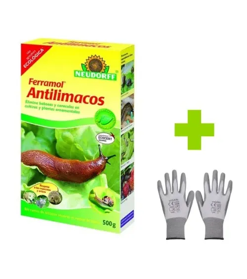 Antilimacos ecológico Ferramol NEUDORFF 500 gr + Guantes de trabajo