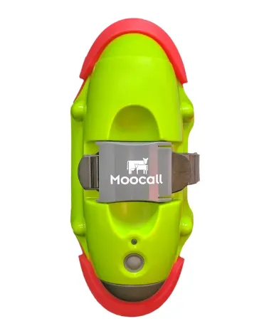 Avisador de partos para vacas Moocall + Elevador de vacas en tela -10%