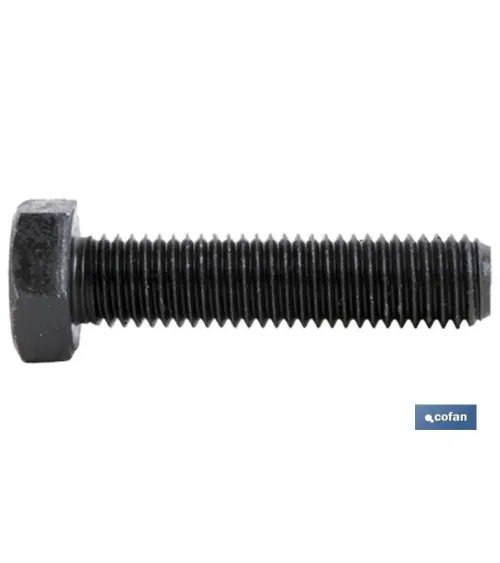 DIN-933 C-10.9 M-12 X 100 N