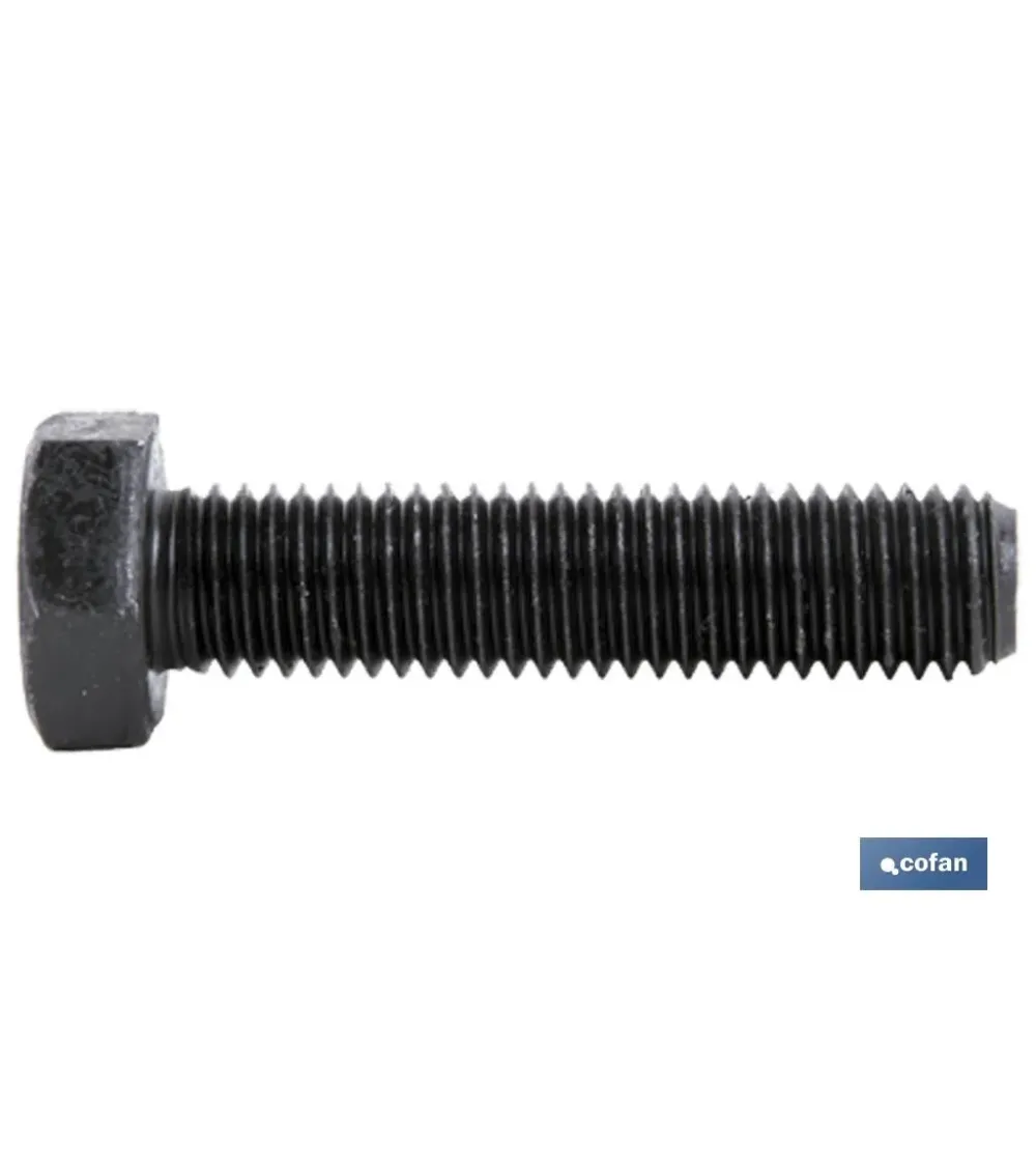 DIN-933 C-10.9 M-16 X 100 N