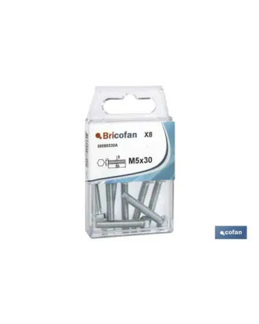 BLÍSTER DE 6 UDS. DIN-933 M-6X40 ZINC VENTA UNITARIA