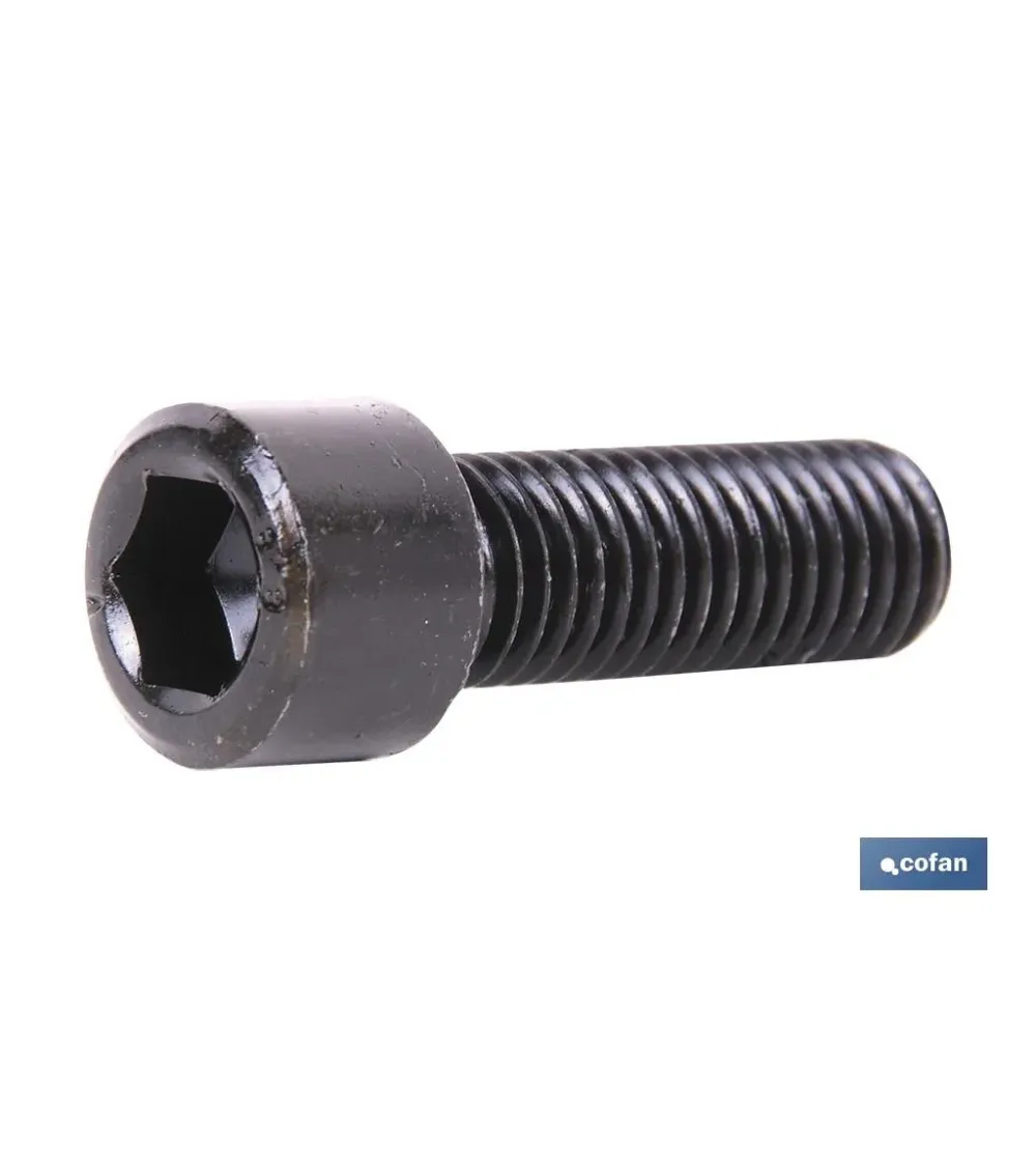DIN-912 C-8.8    M-24 X 70 N