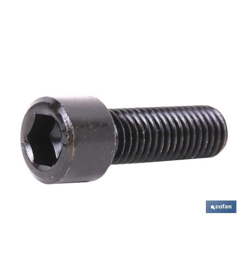 DIN-912 C-8.8    M-24 X 80 N