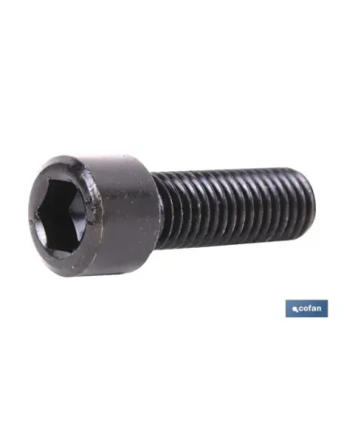 DIN-912 C-8.8    M-24 X 80 N