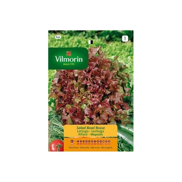 Semilla de lechuga red Salad Bowl de la marca Vilmorin