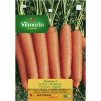 Semilla de zanahoria Nantese 3 de la marca Vilmorin