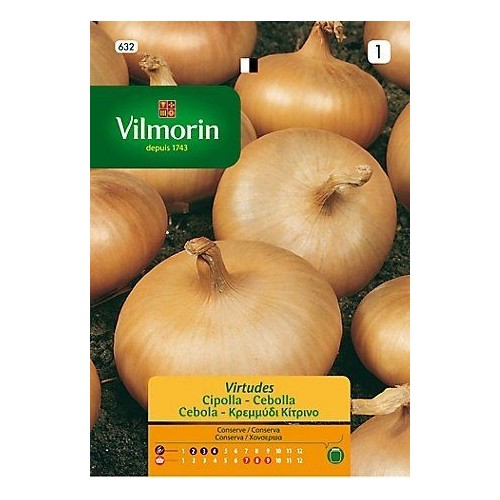 Semilla de cebolla Virtudes de la marca Vilmorin