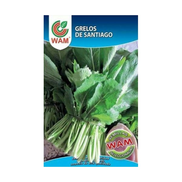 Semilla grelos  de Santiago 100 g