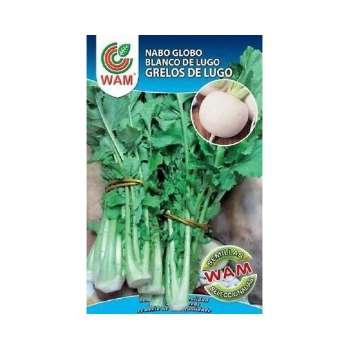 Semilla grelos de Lugo 100 g