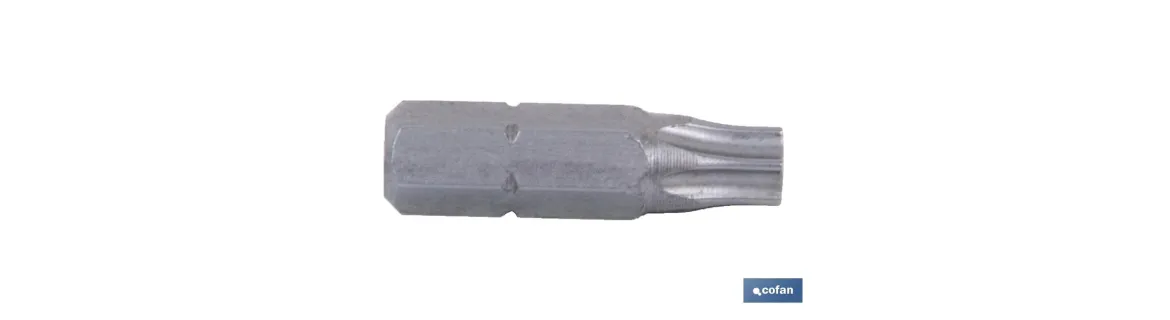 Destornillador Torx con punta inviolable | Diferentes tamaños