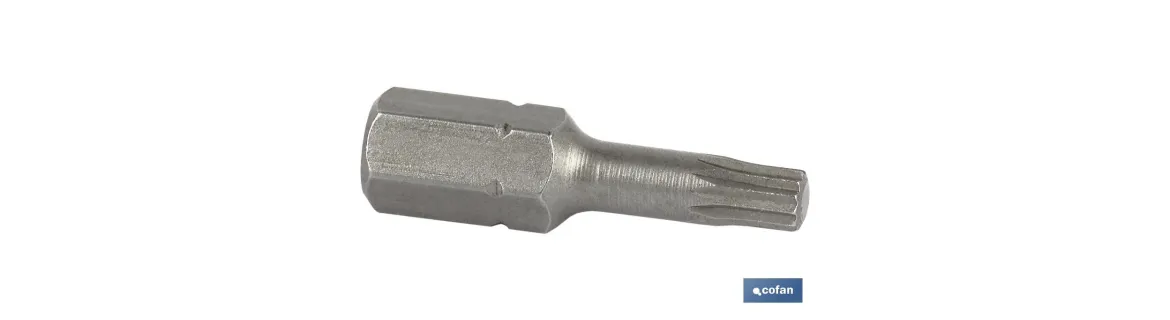 Punta XZN Extra dura de atornillar | Modelo 1/4 XZN | Longitud 25 mm