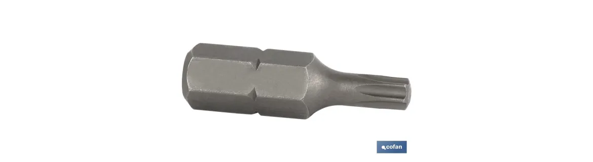 Punta Torx de atornillar de acero | Modelo 5/16 T | Longitud 30 y 75 mm