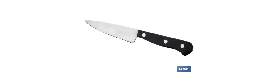 Cuchillo mondador | Modelo Saffron | Medida de 10,5 cm | Hoja de Acero Inox | Mango de Polioximetileno | Color Negro