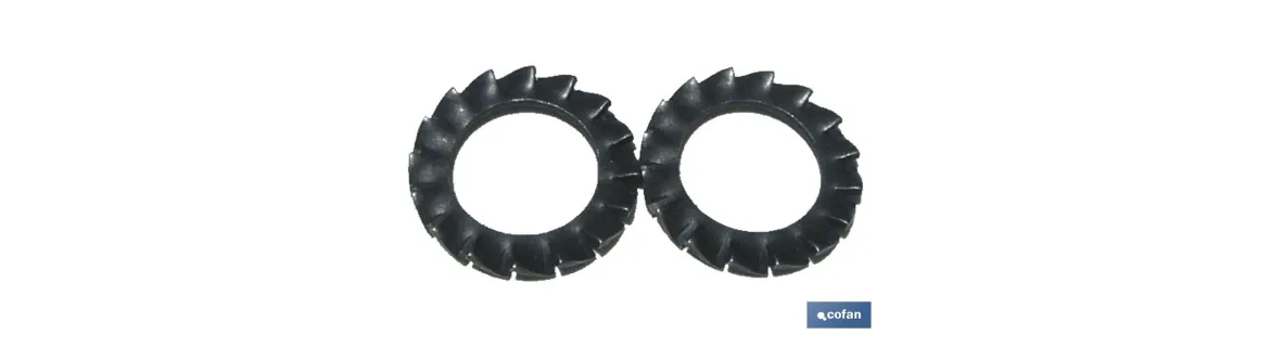 Arandelas Elásticas en Abanico Dentado Exterior