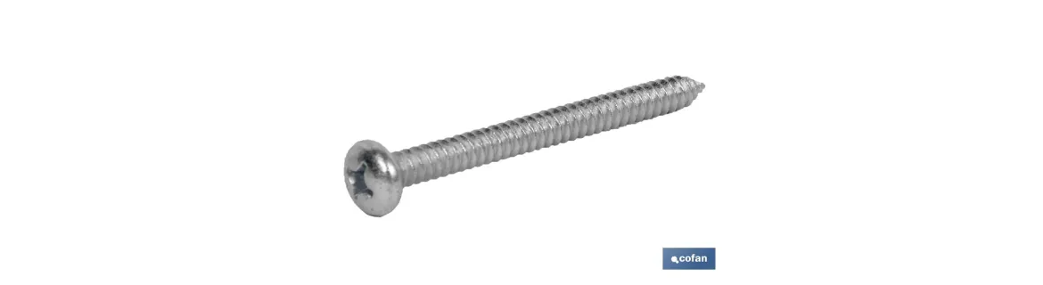 Tornillo Roscachapa Cabeza Cilíndrica Abombada Phillips Zincado