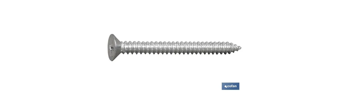 Tornillo Roscachapa Cabeza Avellanada Phillips Zincado