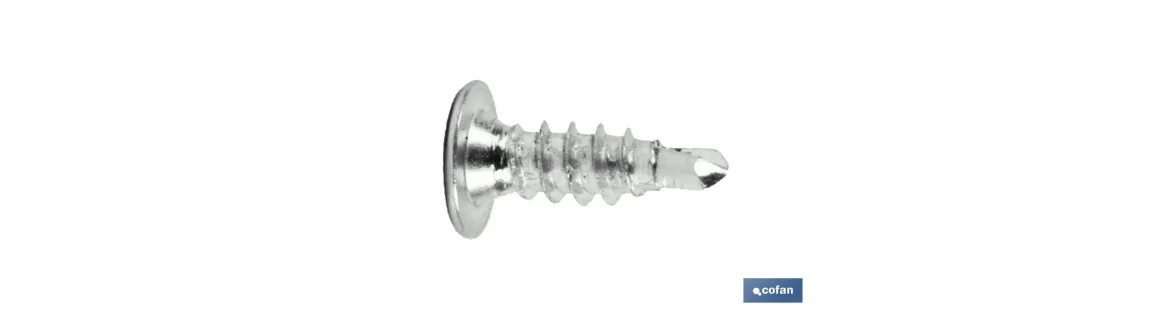 Tornillo autotaladrante cabeza extraplana Phillips INOX