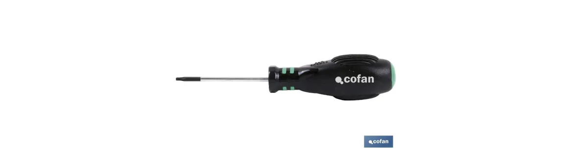 Punta para atornillador de Acero | Modelo 1/4 Torx | Longitud 25 y 50 mm