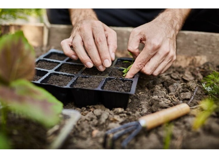 El jardín ecológico, un espacio amigable con el planeta.