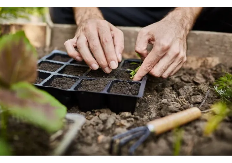 El jardín ecológico, un espacio amigable con el planeta.