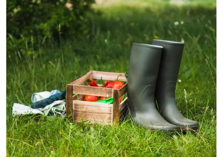 Botas de seguridad para entornos peligrosos